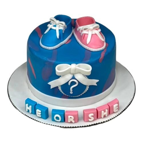 Baby Shoes Gender Reveal Cake